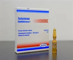 Testosterone Enanthate 250mg /mL x1AMP x1mL Norma