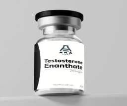 Testosterone Enanthate 250mg/ml 10ml