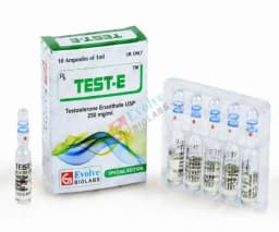 test e 250mg/ml (testosterone enanthate) 10 amps